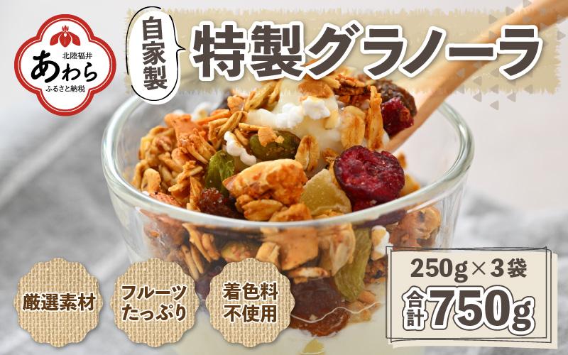 自家製 フルーツグラノーラ 250g×3袋（計750g）《配合や素材にこだわり1つ1つ手作り！》／ オーガニック 果物 ドライフルーツ オートミール ヨーグルト 牛乳