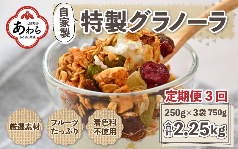 ＜定期便3回＞自家製 フルーツグラノーラ 250g×3袋 750g（計2.25kg）《配合や素材にこだわり1つ1つ手作り！》／着色料不使用 オーガニック 果物 ドライフルーツ オートミール ヨーグルト 牛乳