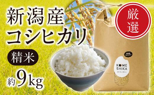 【令和5年産米】新潟産コシヒカリ　精米約9kg　精米したてをお届け