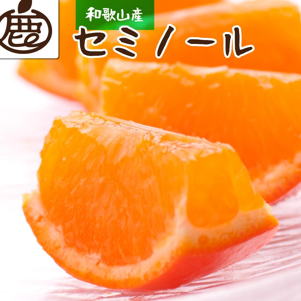 ＜4月より発送＞厳選 セミノールオレンジ5kg+150g（傷み補償分）【有田の春みかん】【有田産】【光センサー食べ頃出荷】