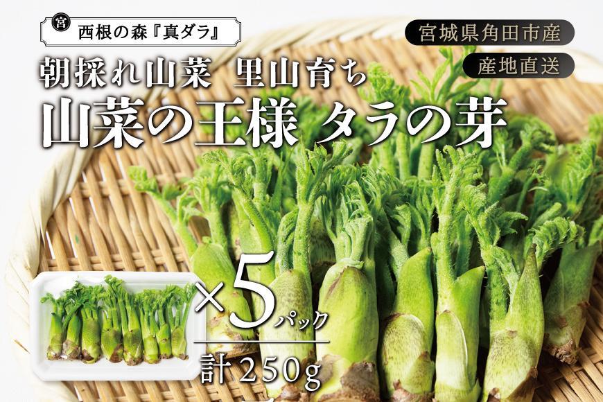 産地直送 朝採れ山菜 タラの芽 250g 山菜 天ぷら 天婦羅 パスタ 炒め物 お浸し 美味しい ご当地 取り寄せ 旬 料理 調理 ごはん 人気 おすすめ グルメ 食品 宮城