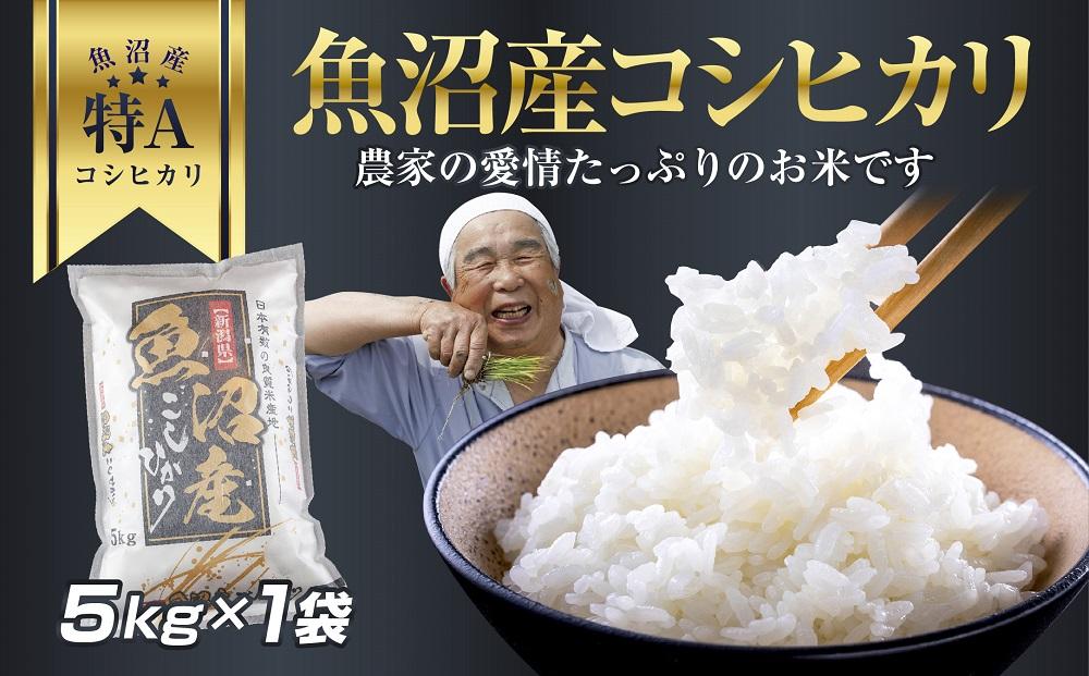 DH01 新潟県 魚沼産 コシヒカリ お米 5kg こしひかり 精米 米（お米の