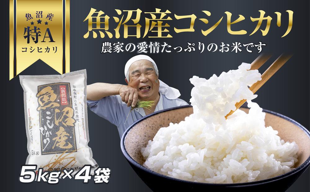 新米 令和5年 埼玉県産 コシヒカリ 玄米 20kg 価格比較