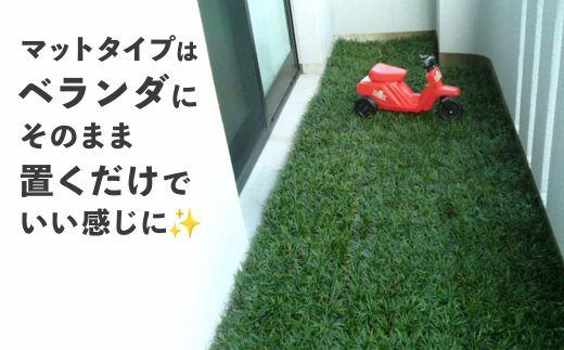 タマリュウ 玉竜 マット5枚セット翌日発送可 ガーデニング