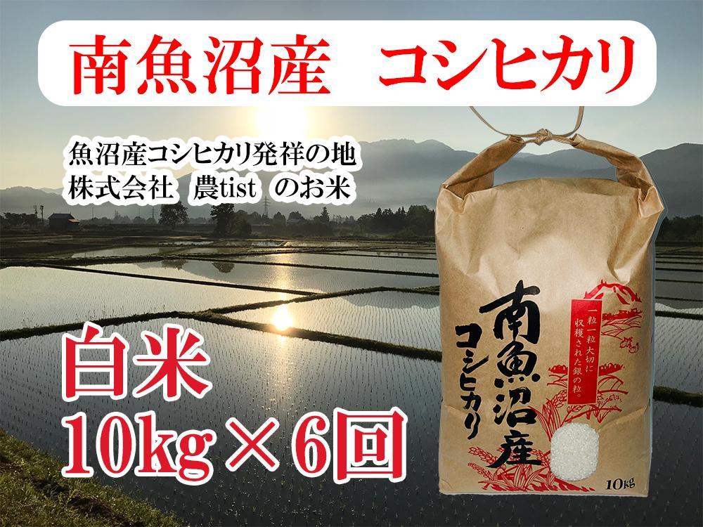 【令和7年産】【定期便 南魚沼産】コシヒカリ 白米10kg×6回【2025年9月中旬より順次発送予定】
