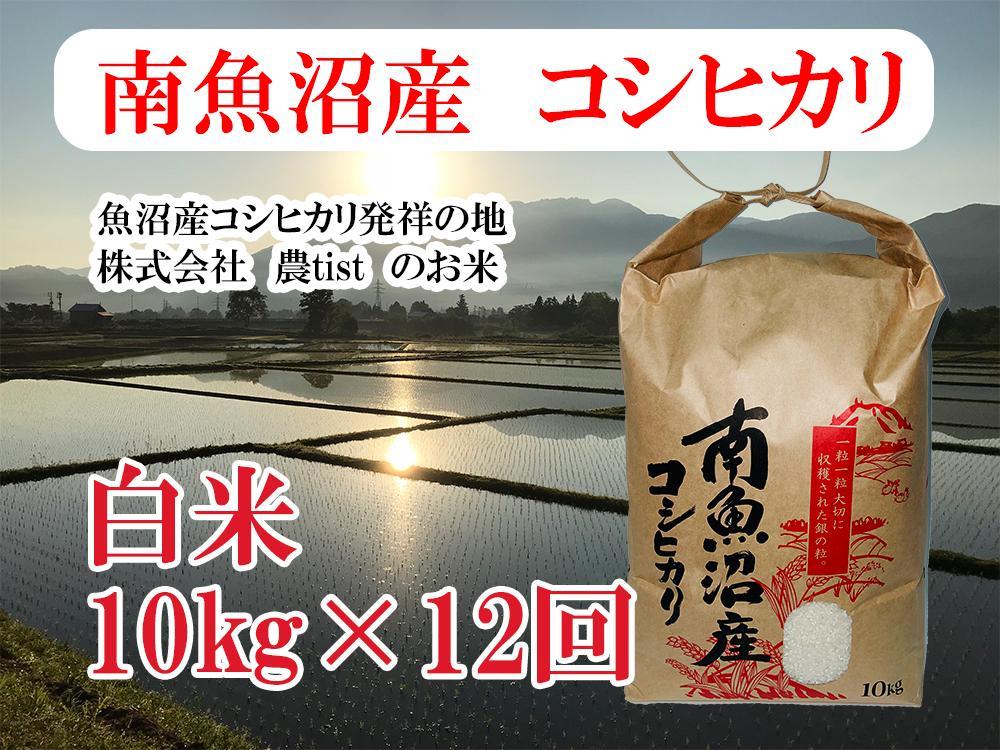 【令和7年産】【定期便&nbsp;南魚沼産】コシヒカリ&nbsp;白米10kg×12回