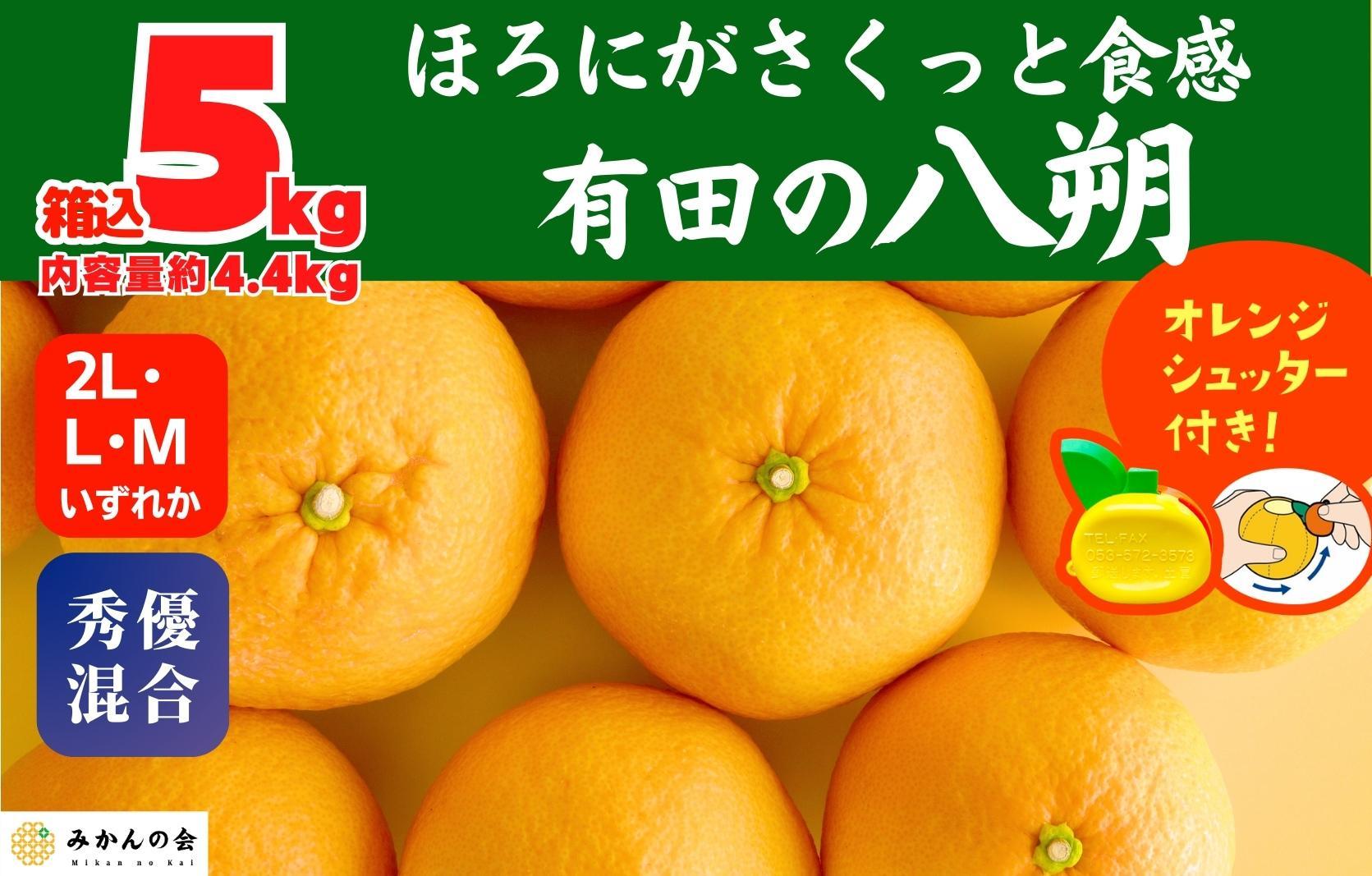 八朔 (はっさく) 玉ぞろい 箱込 5kg(内容量約 4.4kg) 2L L Mサイズのいずれか  秀品 優品 混合 和歌山県産  産地直送【おまけ付き】【みかんの会】