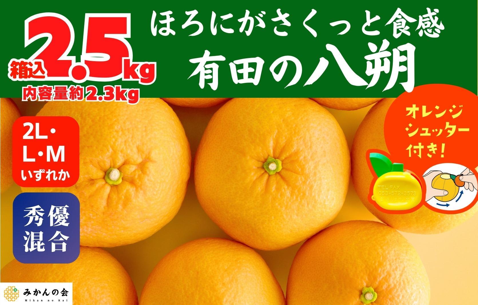 八朔 (はっさく)  玉ぞろい 箱込 2.5kg(内容量約 2.3kg) 2L L Mサイズのいずれか 秀品 優品 混合和歌山県産  産地直送【おまけ付き】【みかんの会】