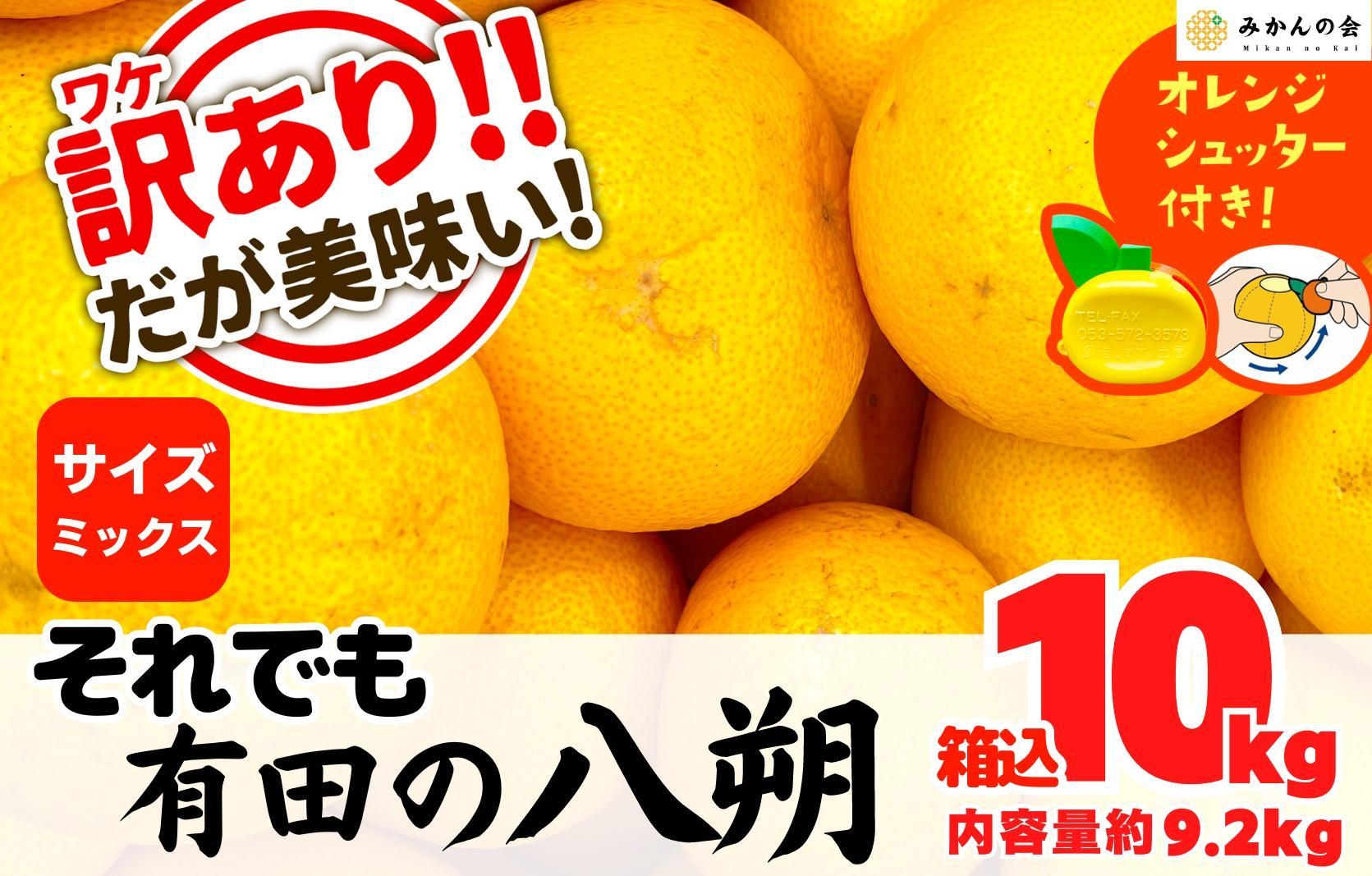 八朔 訳あり それでも 有田の八朔  (はっさく) 箱込 10kg (内容量約 9.2kg) サイズミックス B品 和歌山県産  産地直送【おまけ付き】【みかんの会】