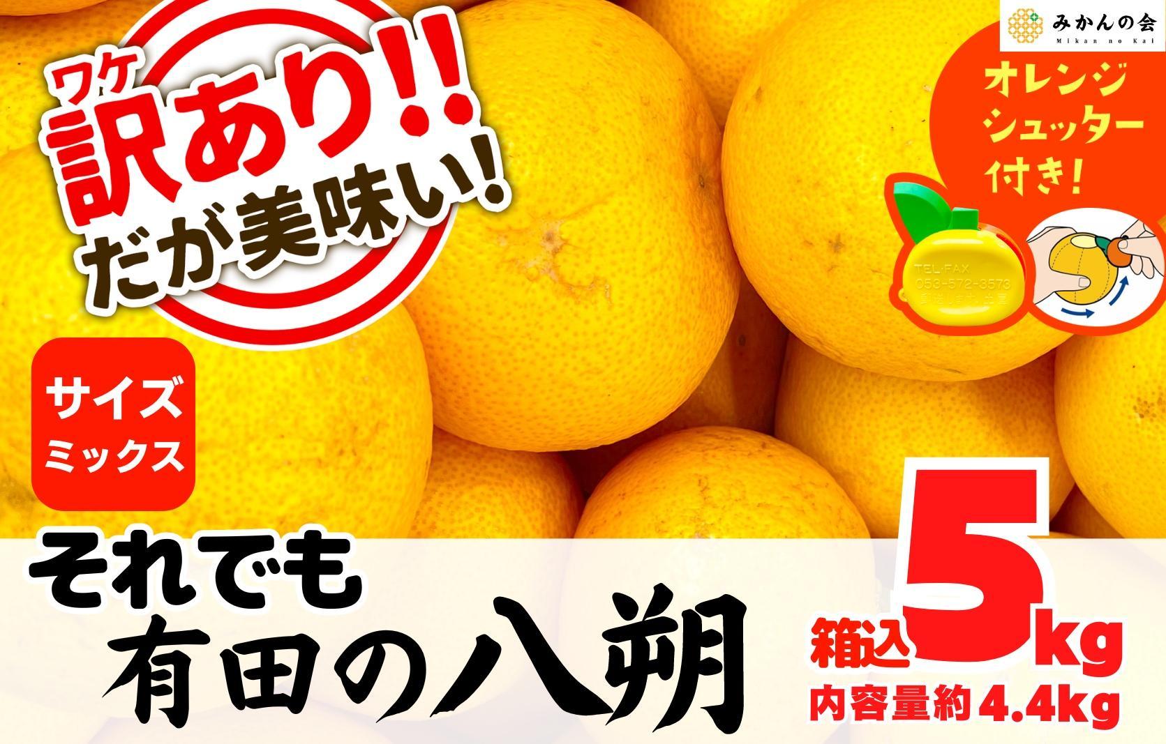 八朔 訳あり それでも 有田の八朔  (はっさく) 箱込 5kg (内容量約 4.4kg) サイズミックス B品 和歌山県産  産地直送【おまけ付き】【みかんの会】