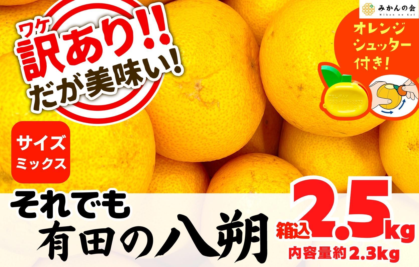 八朔 訳あり それでも 有田の八朔  (はっさく) 箱込 2.5kg (内容量約 2.3kg) サイズミックス B品 和歌山県産  産地直送【おまけ付き】【みかんの会】