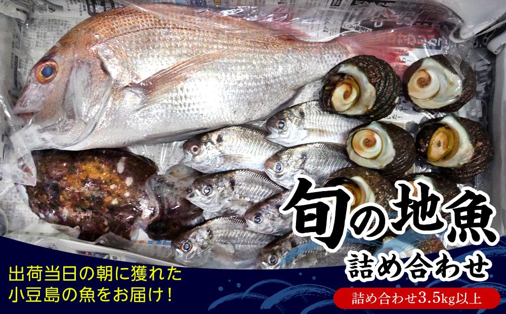 小豆島から直送！朝獲れ鮮魚 旬の地魚詰め合わせ 3.5kg以上【7月以降発送】