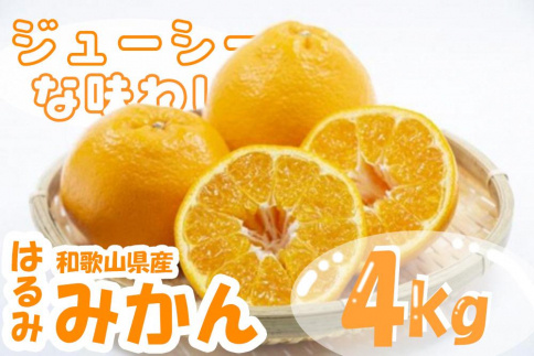 はるみみかん　和歌山県御坊産　先行予約（10～24玉）4キロ【2023年2月中旬以降発送】