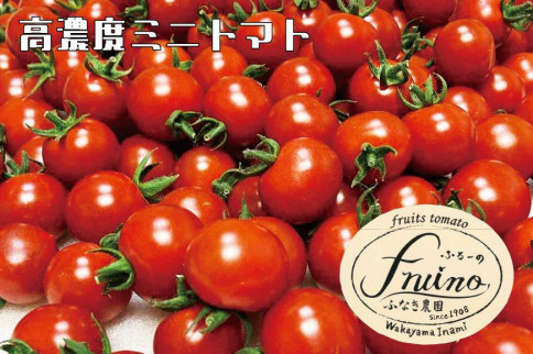 【2023年12月発送】フルーツトマト「fruino ふるーの」1箱（4パック）