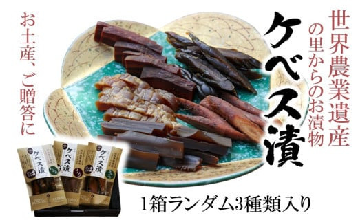 【10月から発送予定】西の関の酒粕で作ったこだわりの奈良漬け「季節のケベス漬け」1箱ランダム3種セット（計510g）_2106R