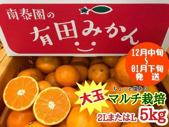 ちょっと 傷あり マルチ栽培 有田 みかん 大玉 2L または L サイズ 5kg 南泰園