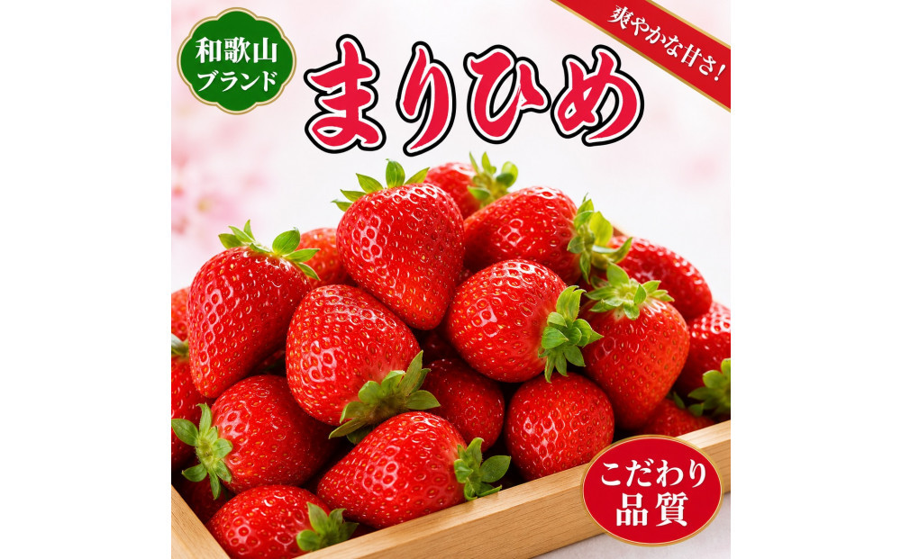 紀州和歌山ブランドいちご「まりひめ」約250g×4P&nbsp;［2027年3月上旬頃～3月下旬頃に順次発送］［UT39］