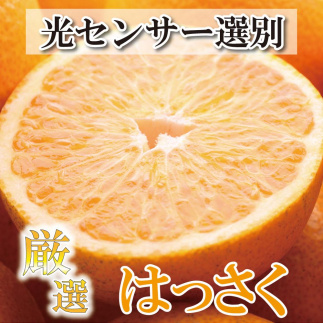 ＜4月より発送＞厳選 樹上完熟はっさく5kg+150g（傷み補償分）【八朔】【さつき・木成】