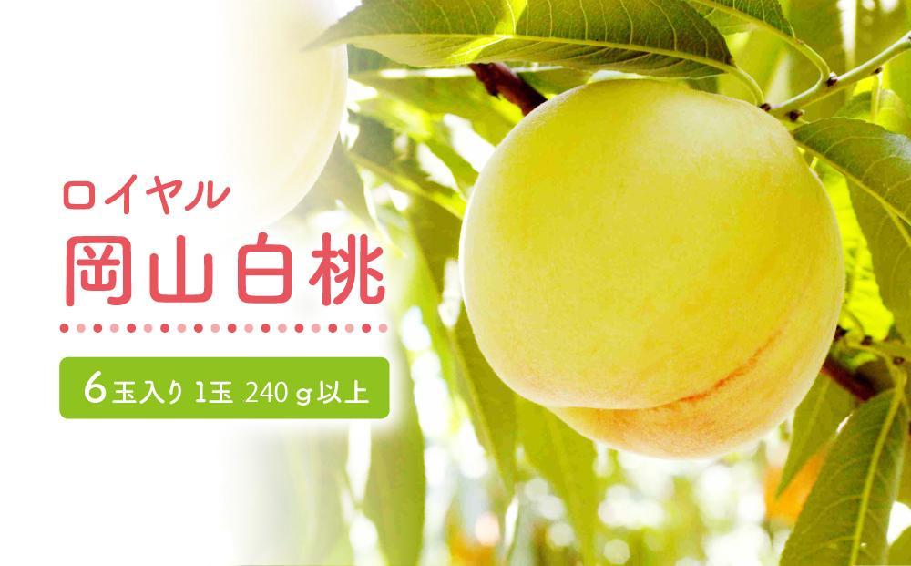 ふるさと納税 桃 2024年 先行予約 岡山 白桃 ロイヤル 4〜6玉 約1kg JA