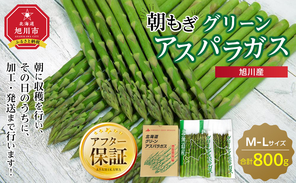 旭川産朝もぎ！グリーンアスパラガスL・Mサイズ各400g　合計800g(2026年5月中旬発送開始予定)_01942