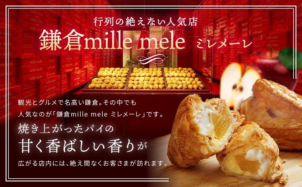 世界一のアップルパイ 8個入り ｜ アップルパイ りんご 林檎 アップル