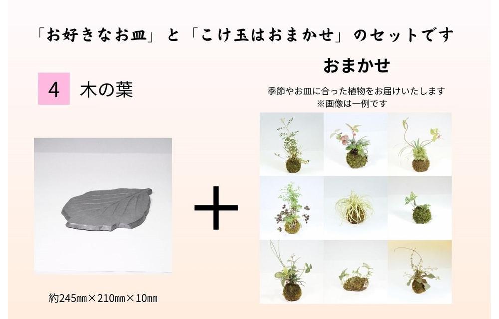 いぶし皿（木の葉）・こけ玉おまかせ セット | JTBのふるさと