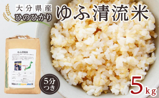 大分県産ひのひかり「ゆふ清流米」【5分つき】5kg