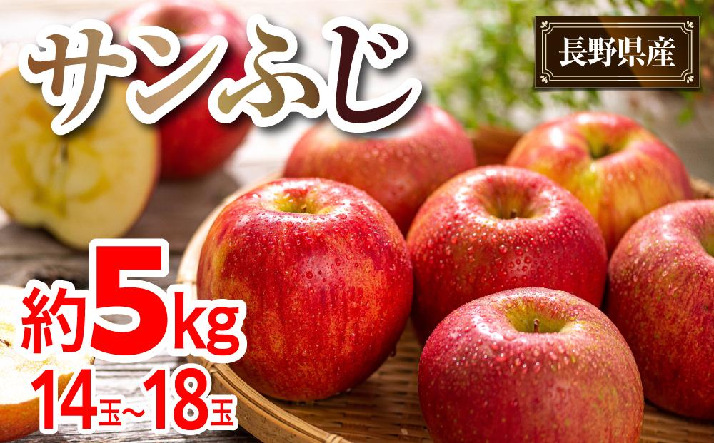 【先行予約】2024  サンふじ 約5キロ【11月中旬頃～順次発送予定 】長野県産　国際特許有機肥料栽培