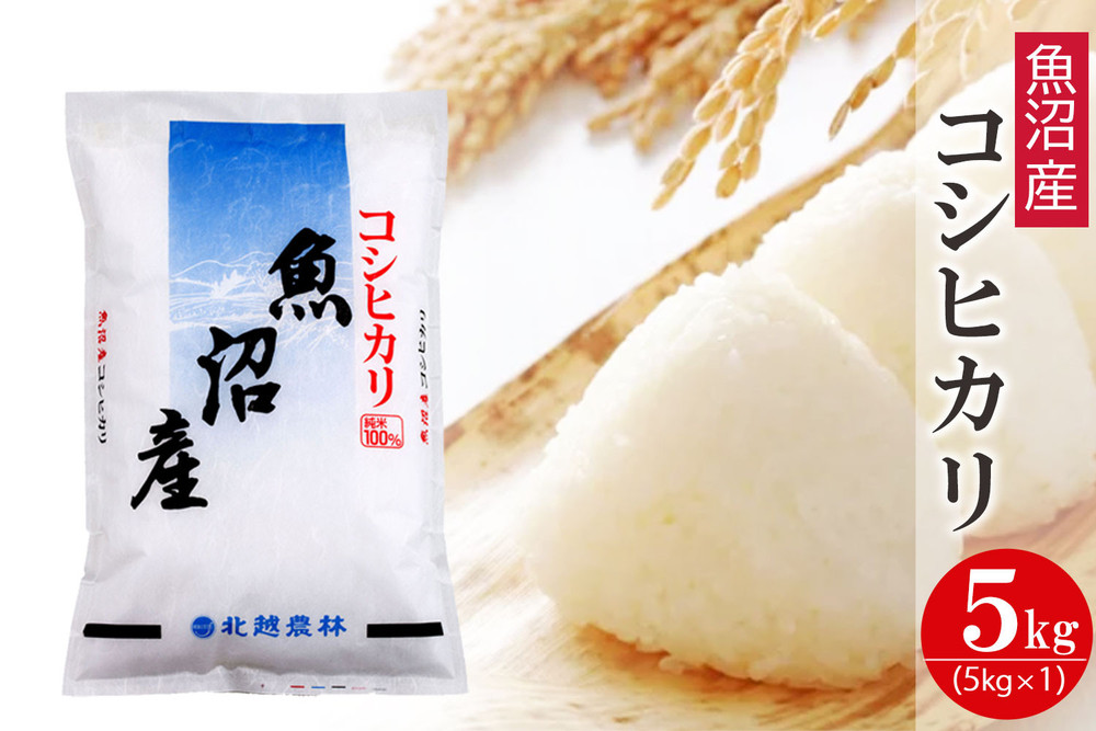 〈令和7年産&nbsp;新米〉&nbsp;魚沼産コシヒカリ&nbsp;5kg&nbsp;精米&nbsp;白米