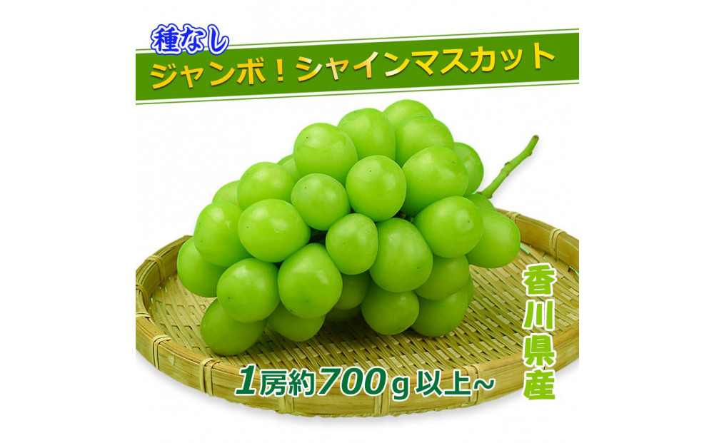 《2026年発送》特秀品シャインマスカット&nbsp;(&nbsp;１房&nbsp;約700g以上&nbsp;)&nbsp;ぶどう&nbsp;マスカット&nbsp;香川県産