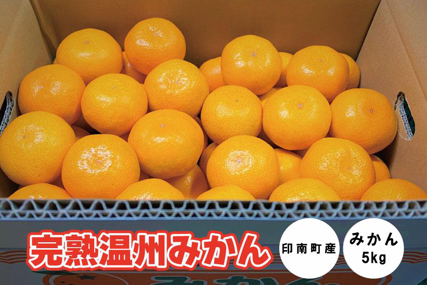 地元印南町産『完熟温州みかん』約5kg（S～Lサイズ）