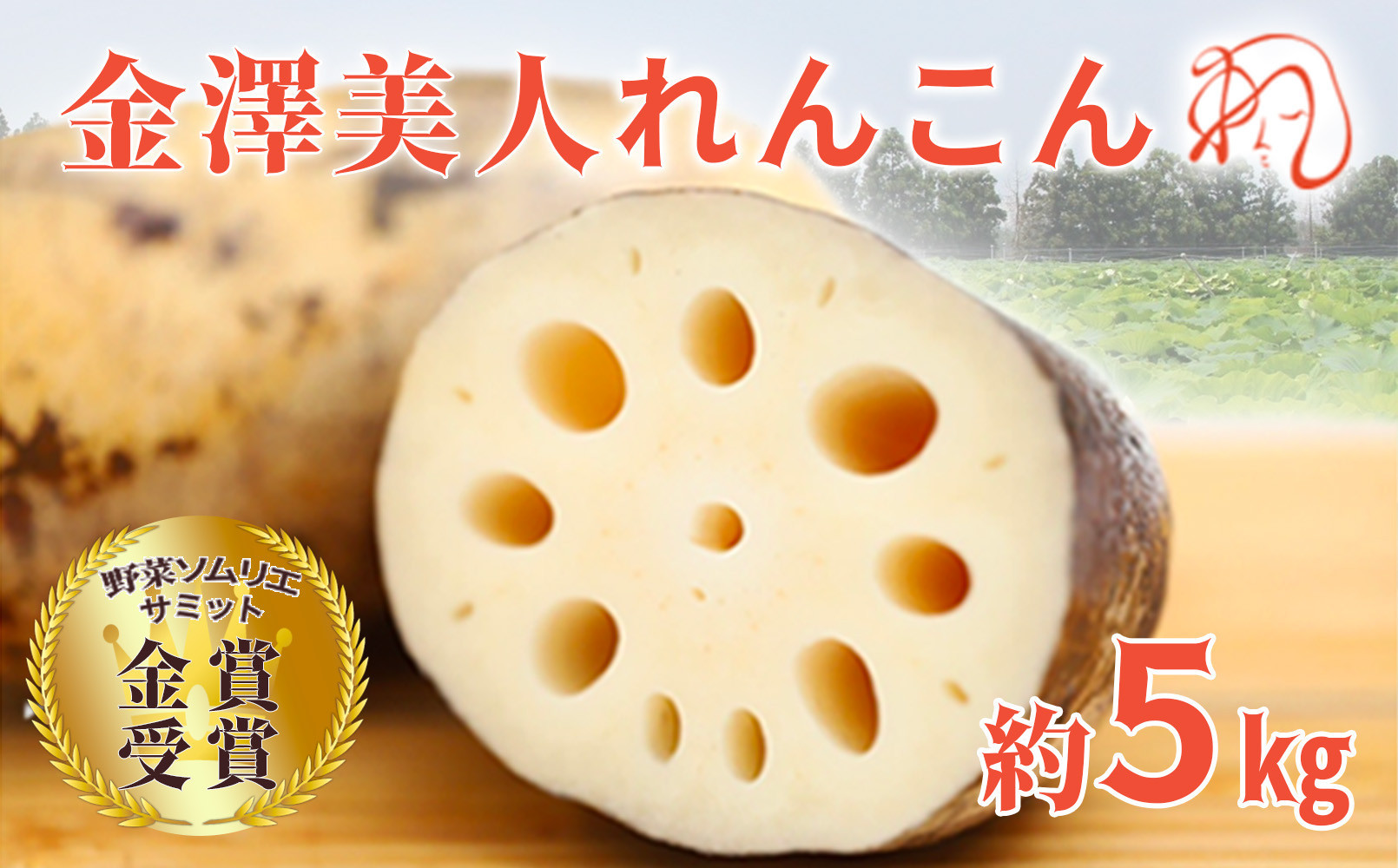 金澤美人れんこん&nbsp;5kg&nbsp;蓮根&nbsp;野菜&nbsp;根菜&nbsp;レンコン&nbsp;|&nbsp;石川&nbsp;金沢&nbsp;加賀百万石&nbsp;加賀&nbsp;百万石&nbsp;北陸&nbsp;北陸復興&nbsp;北陸支援