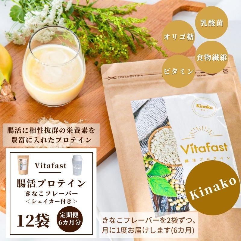 【定期便6ヶ月連続】Vitafast 乳酸菌プロテイン きなこ味 2袋×6ヶ月 計12袋 シェイカー1個付き