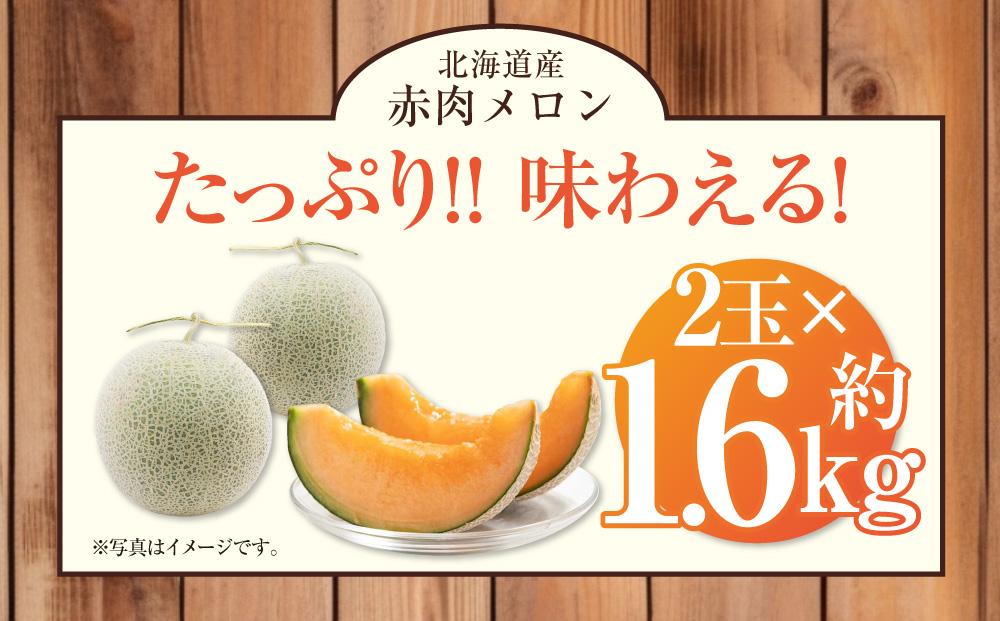 先行予約】 北海道産赤肉メロン約1.6kg×2玉 (2024年7月中旬から発送