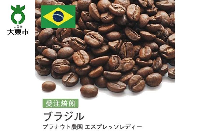 [豆]#83 受注焙煎！310g ブラジル プラナウト農園 エスプレッソレディー 珈琲豆 コーヒー豆 自家焙煎