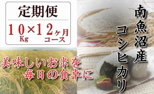 【頒布会】南魚沼産コシヒカリ「八龍の尾」１０ｋｇ×全１２回