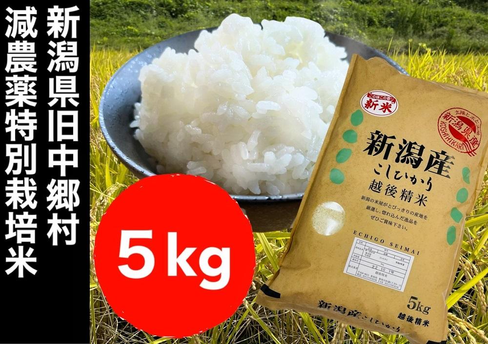 【令和6年度産新米】新潟県減農薬特別栽培米コシヒカリ 5kg