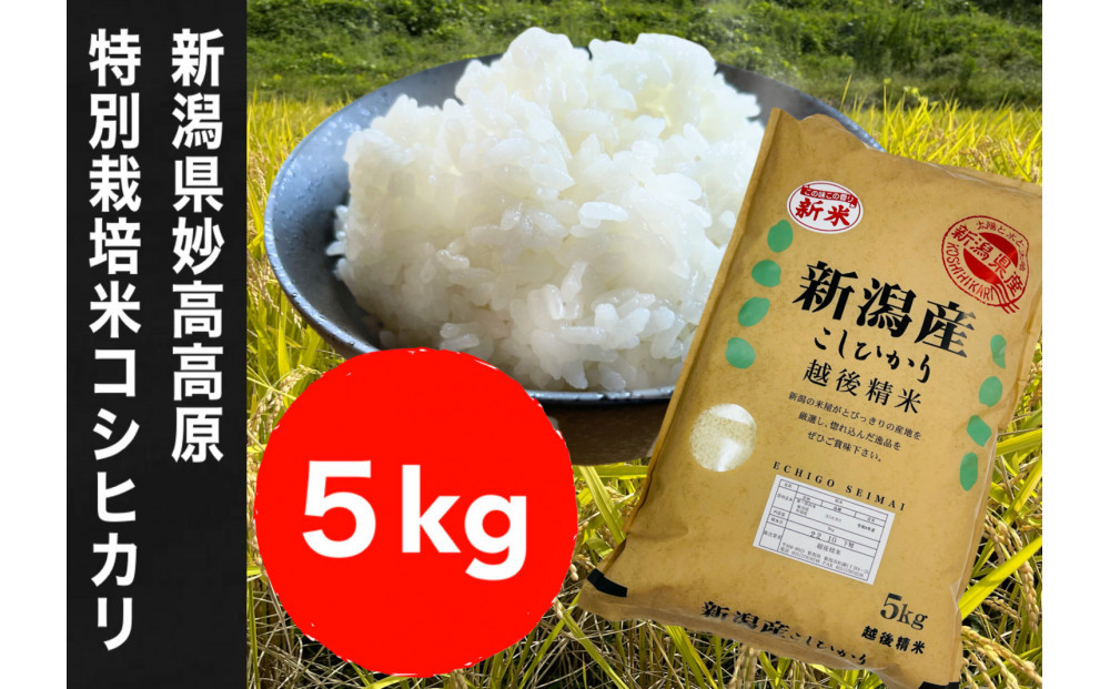 【令和7年度産新米】新潟県妙高高原減農薬特別栽培米コシヒカリ&nbsp;5kg