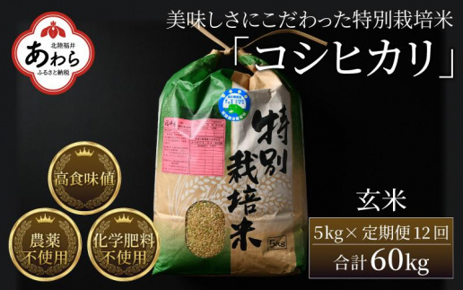 【令和6年産 新米】《定期便12回》コシヒカリ 玄米 5kg （計60kg）特別栽培米 農薬不使用 化学肥料不使用 ／ 高品質 鮮度抜群 福井県産 ブランド米 玄米