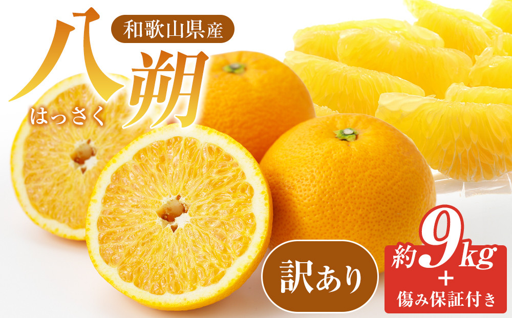 訳あり八朔&nbsp;&nbsp;約10kg（箱込み）&nbsp;和歌山県産