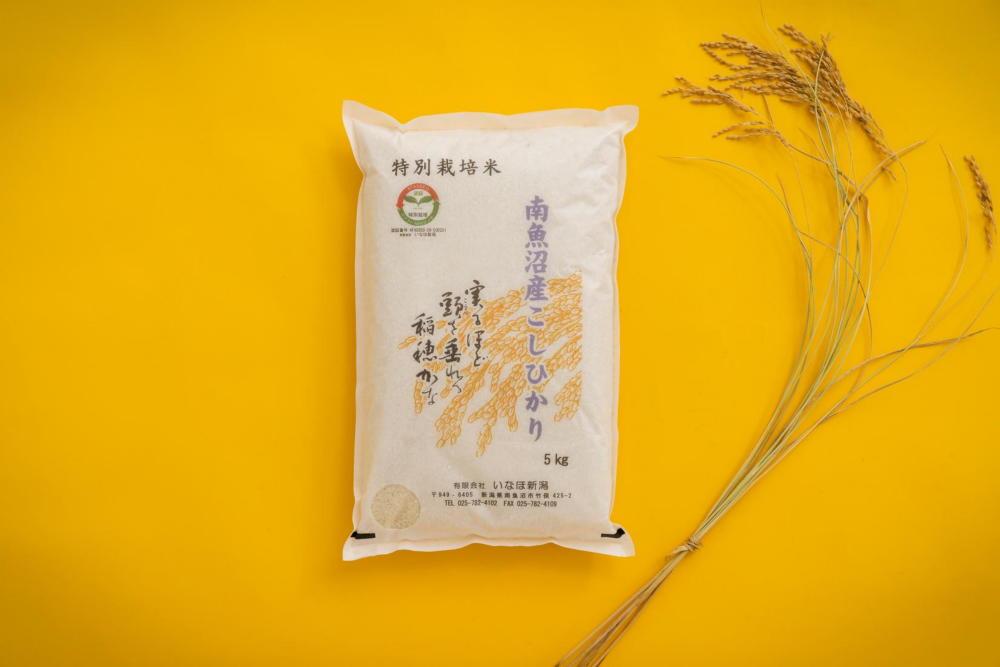 【令和7年産】&nbsp;南魚沼産コシヒカリ「特別栽培米（アファス認証）」精米5kg【新潟県&nbsp;特A地区】