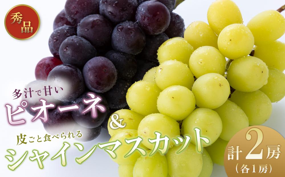 8周年記念イベントが 和歌山県産 ぶどう 紫玉種無し1kg 3房