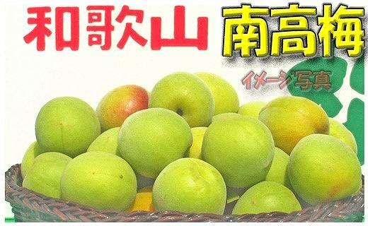 【梅干・梅酒用】（LまたはM－2Kg）熟南高梅＜2025年6月上旬～7月7日発送予定＞フルーツ 果物 くだもの 食品 人気 おすすめ 送料無料【ART07】