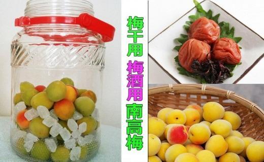 【梅干・梅酒用】（3Lまたは2L－2Kg）熟南高梅＜2025年6月上旬～7月7日発送予定＞フルーツ 果物 くだもの 食品 人気 おすすめ 送料無料【ART06】