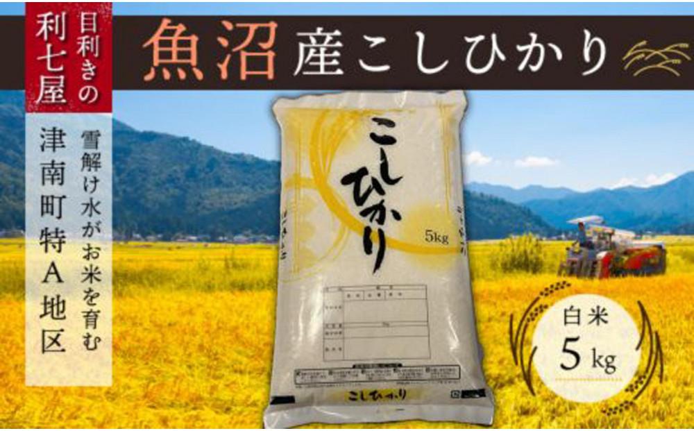 【令和7年産 新米】【魚沼産コシヒカリ 白米5kg×全9回】雪解け水がお米を育む、津南町特A地区の美味しいお米。【令和7年10月以降発送】