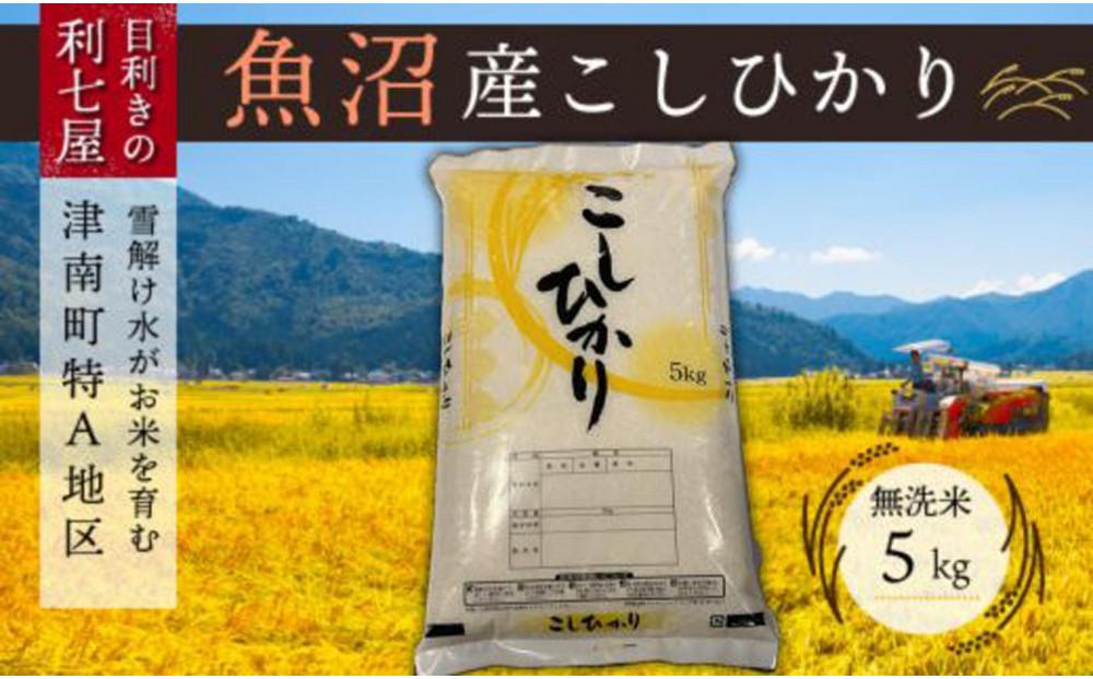 【令和7年産 新米】【魚沼産コシヒカリ 無洗米5kg×全12回】雪解け水がお米を育む、津南町特A地区の美味しいお米。【令和7年10月以降発送】