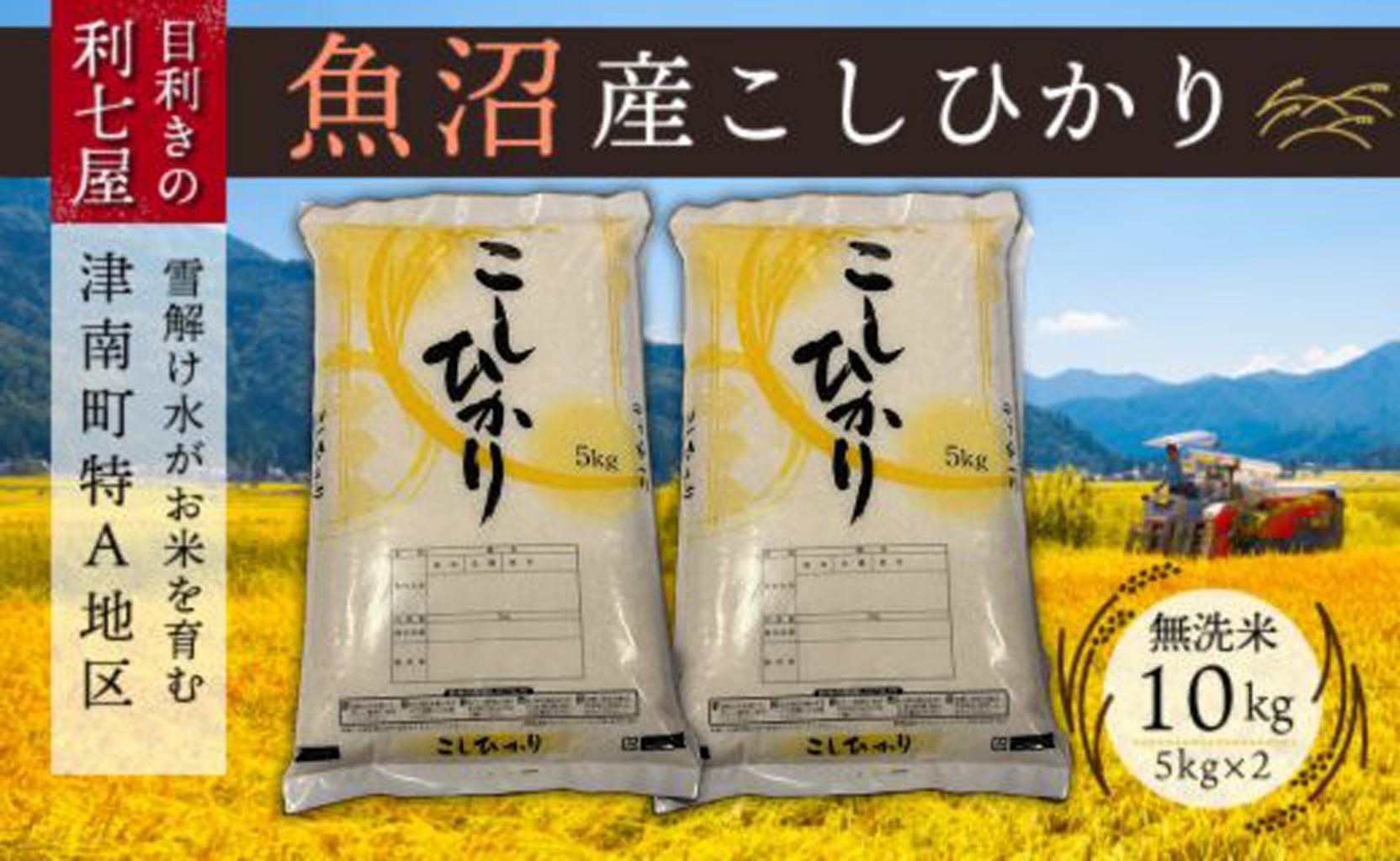 【令和7年産 新米】【魚沼産コシヒカリ 無洗米10kg（5kg×2袋）×全6回】雪解け水がお米を育む、津南町特A地区の美味しいお米。【令和7年10月以降発送】