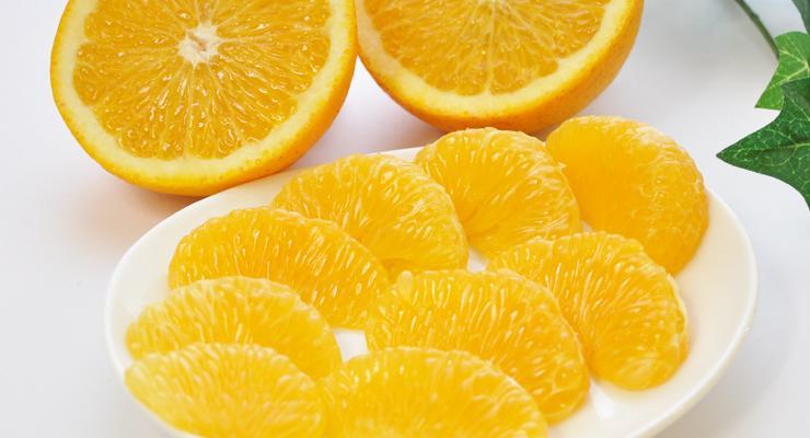 ご家庭用八朔（はっさく）約15kg【2024年1月20日～発送】