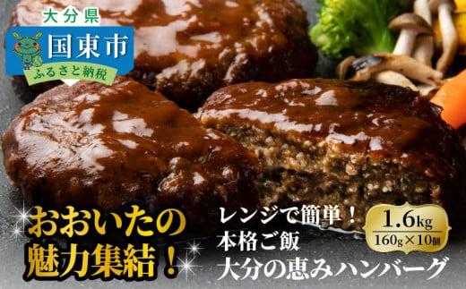 おおいたの魅力集結！大分の恵みハンバーグ 1.6kg（160g×10個）_2146R