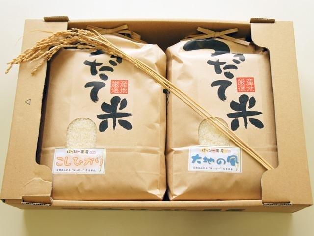 令和5年産特別栽培米コシヒカリ・大地の風　白米3ｋｇ×２